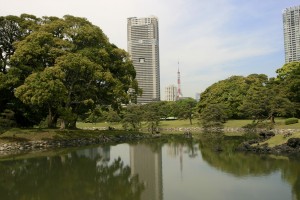 The garden, with the Tokyo tower in the distance