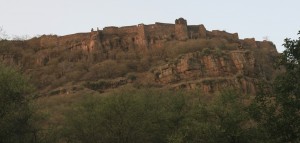 The fort located in the park