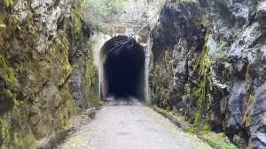 Bulldog tunnel