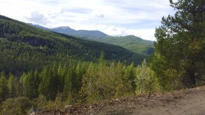 Another view of the Dog Creek valley