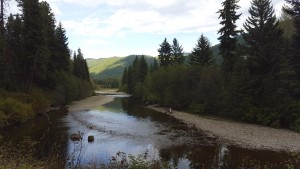 Another view of the Kettle River