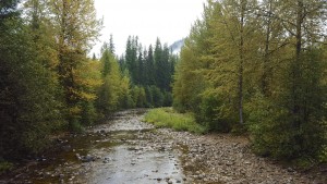 Crossing the creek at the apex of the curve