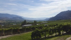 View of the Okanagan 