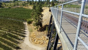 Trout creek trestle