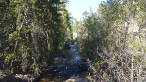 Trout creek