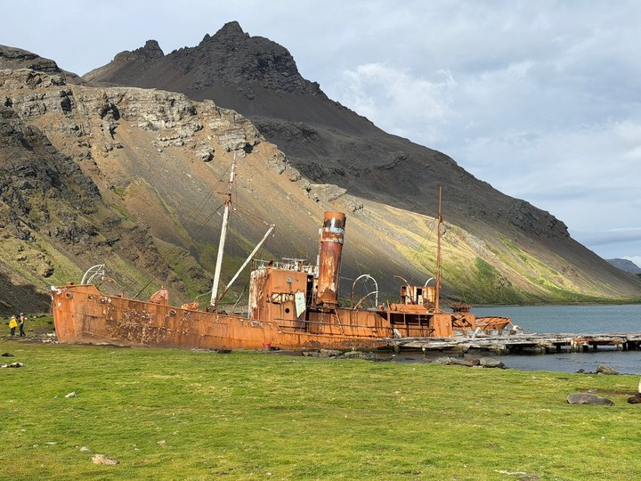 Antarctica photo 57