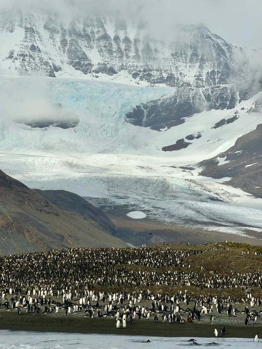 Antarctica photo 59